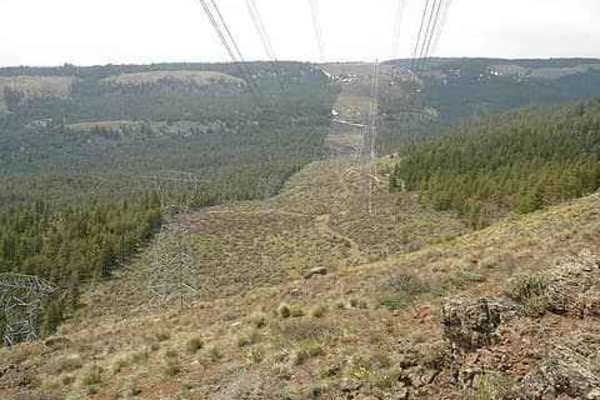 Powerline Road