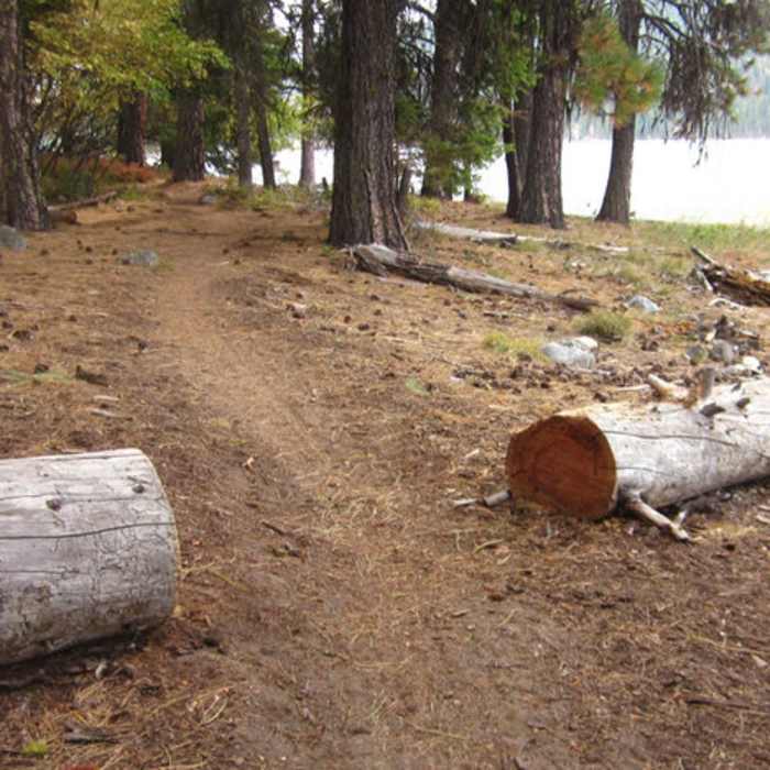 Near Ponderosa State Park Big Loop