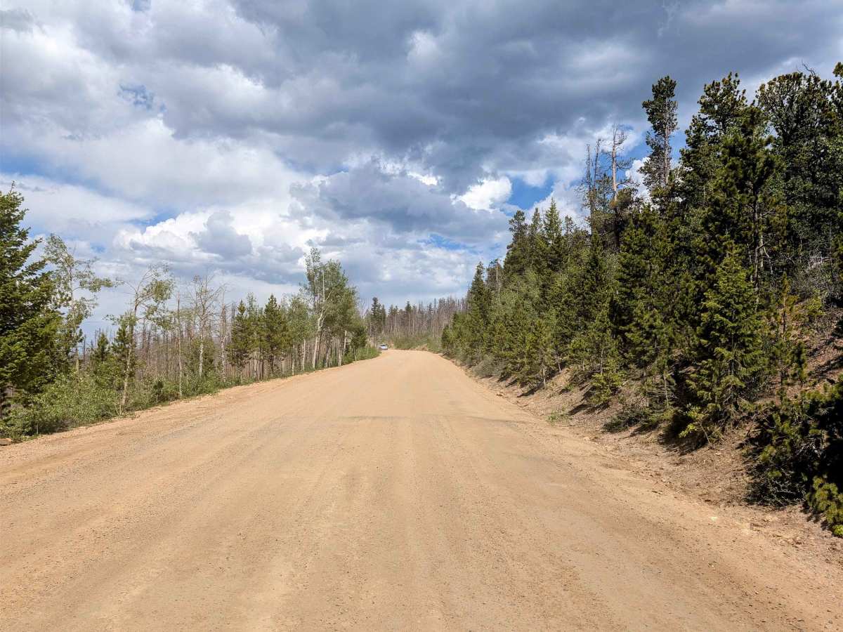 Pingree Park Road photo 5