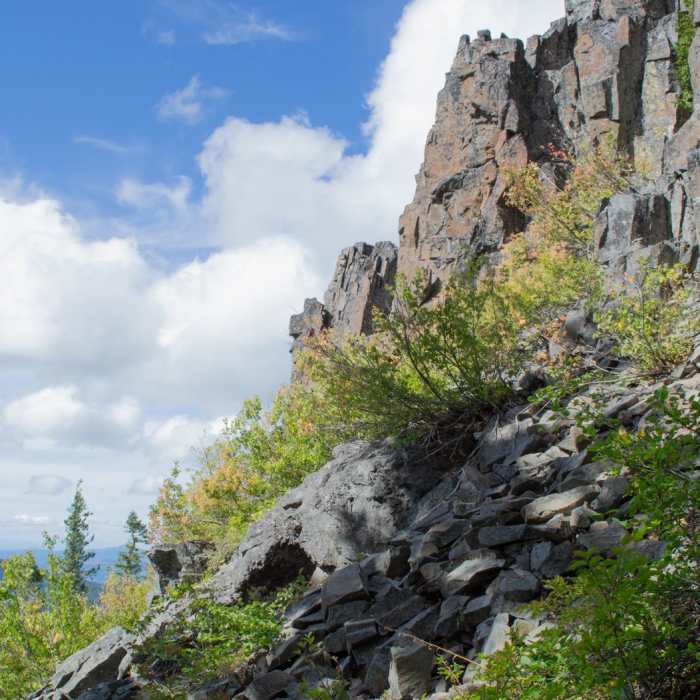 Near Bohemia Mountain Trail