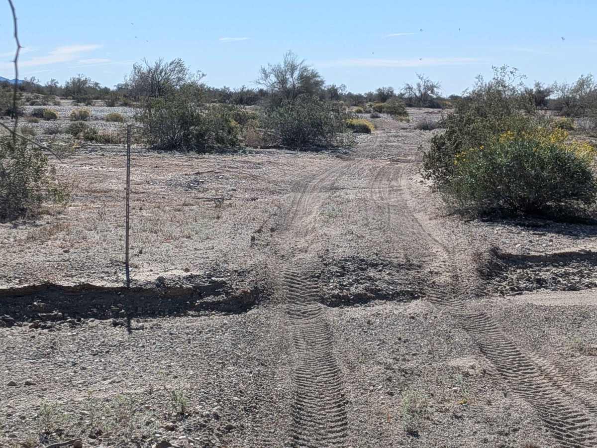 BLM 539 NW photo 2
