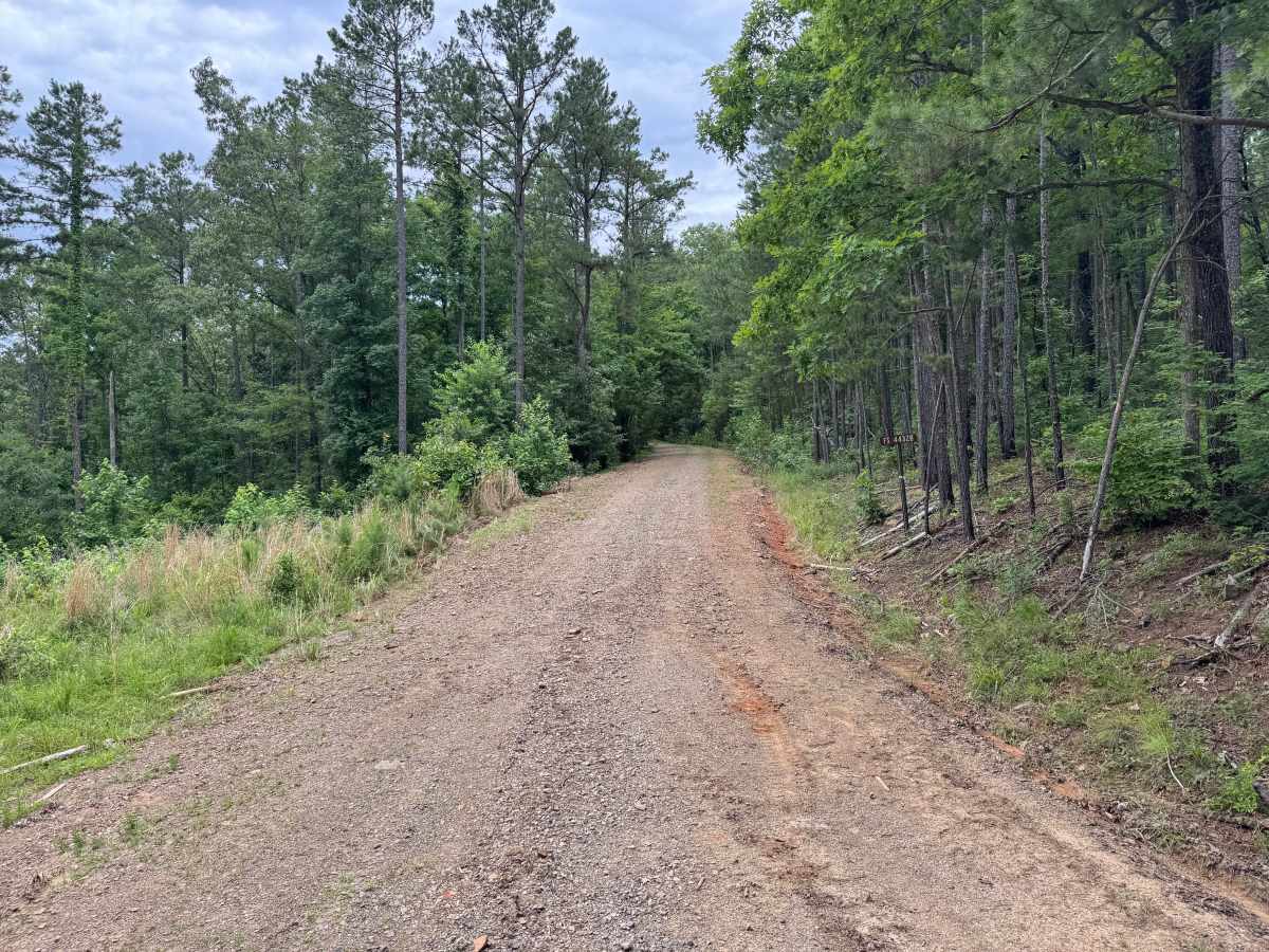 Cabin trail photo