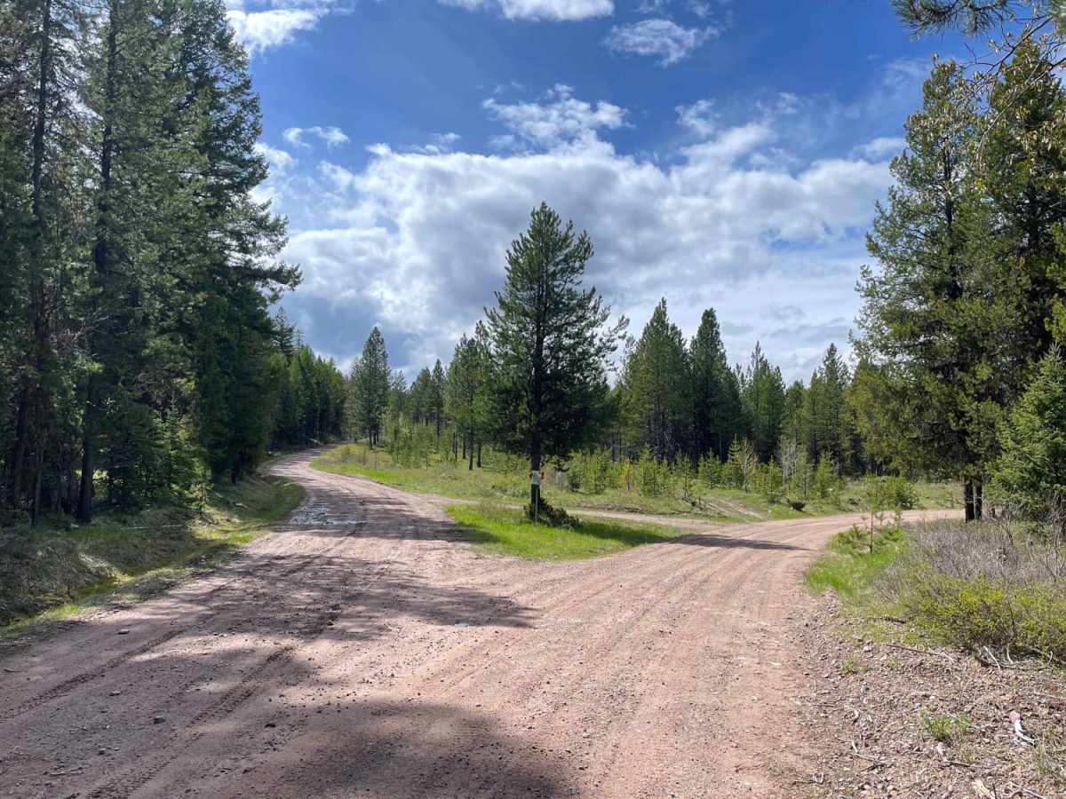 Archibald Loop photo 4