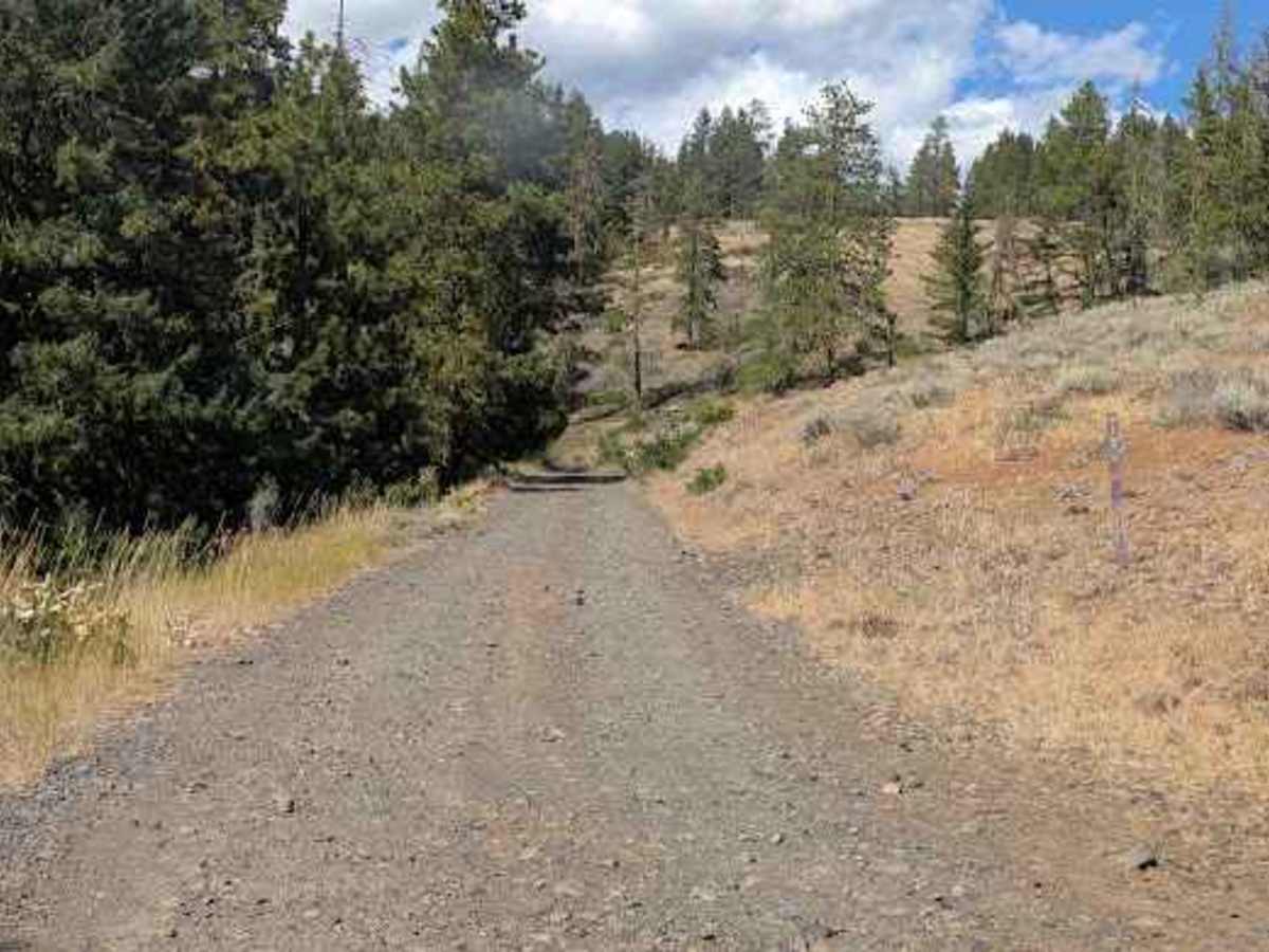FS 3500-113 trail photo