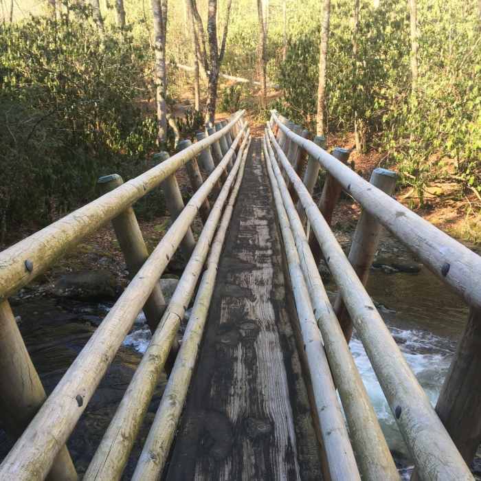 Near Snowbird Creek Trail #64 - Lower Section