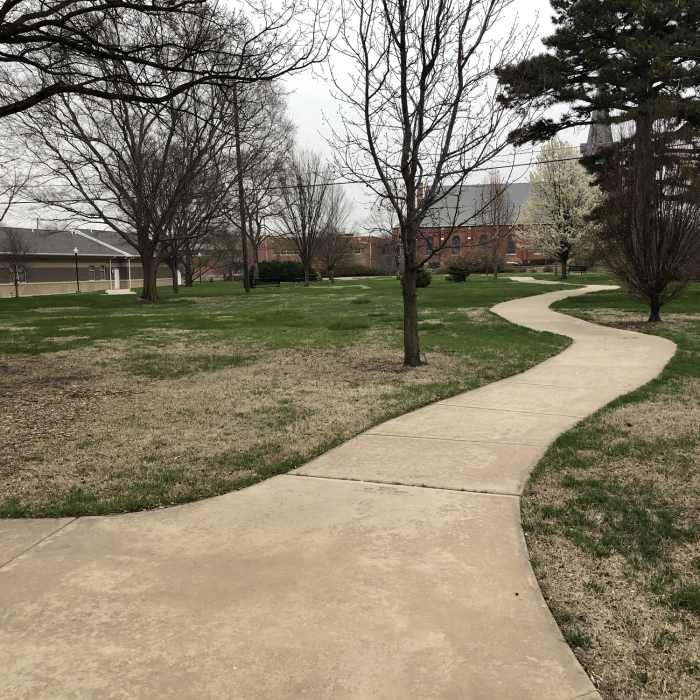 Near Park Path