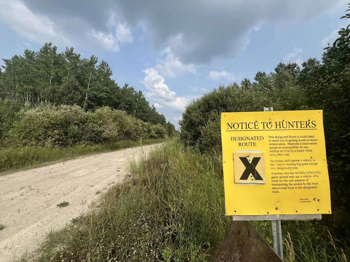 Beaver Creek Road trail photo