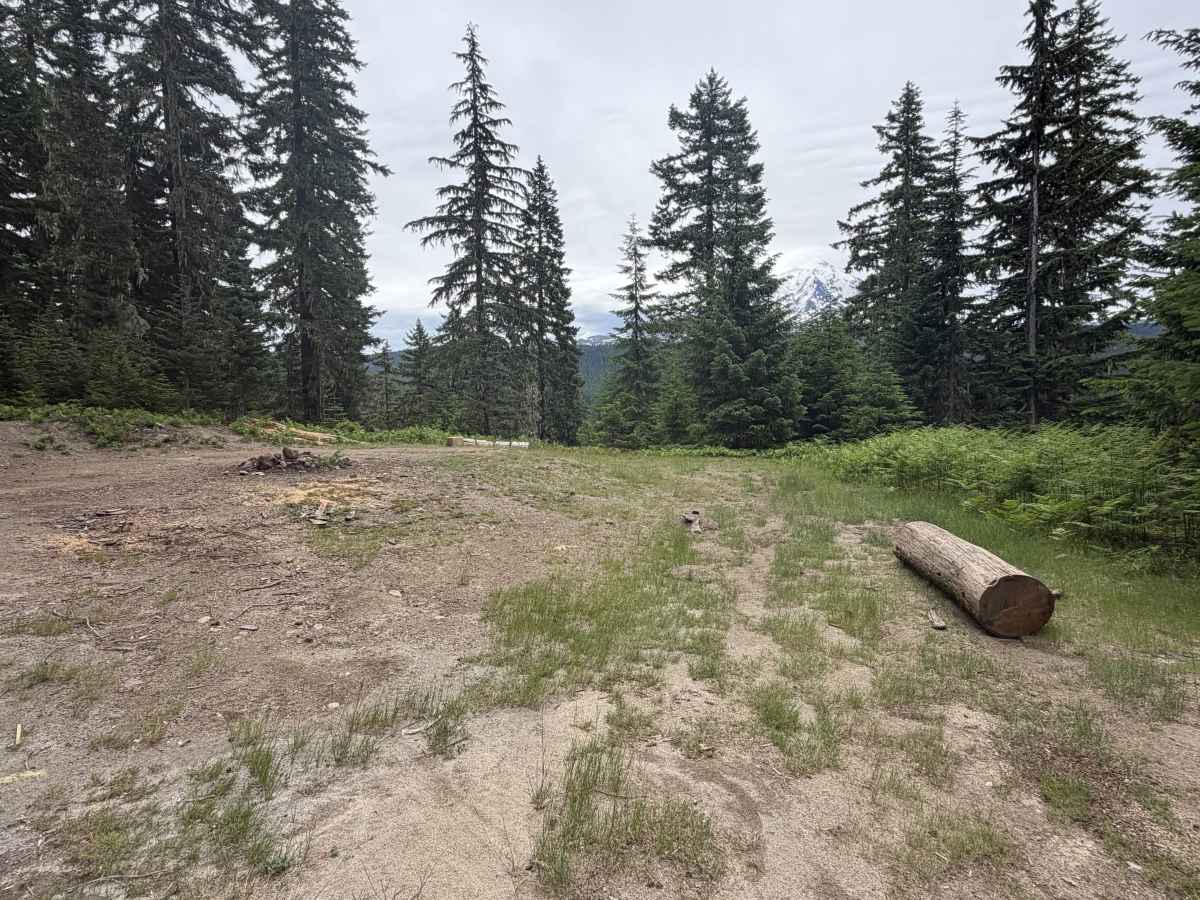 FS 2334015 photo 3
