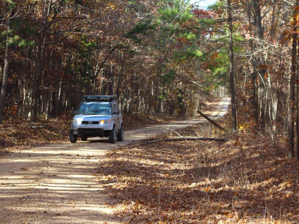 Cub Creek - ICR 15/FS 2391  trail photo