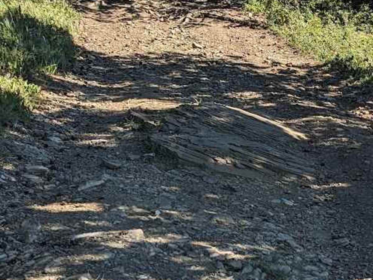 Porcupine Hills Trail 43 photo 2