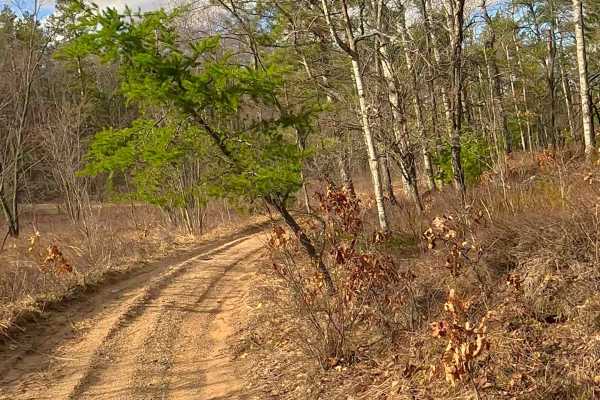 ORV H-57 : Bull Gap Hill Climb - Tertiary Return Loop <50"