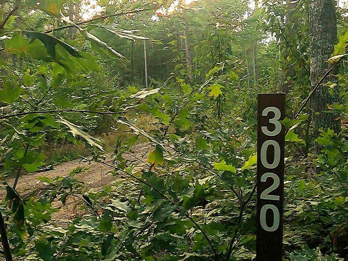Airfield Road South - FS 3020 trail photo
