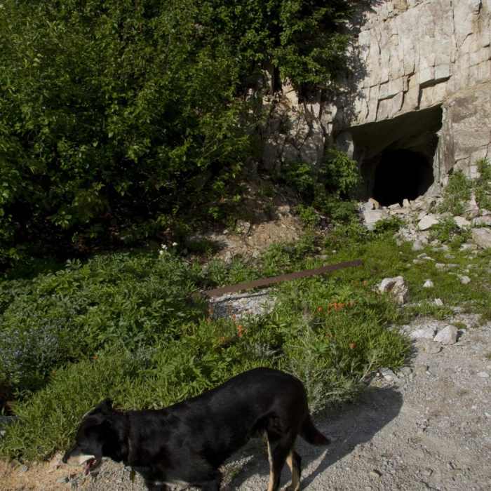 Near Eureka Gulch Near Eureka Gulch