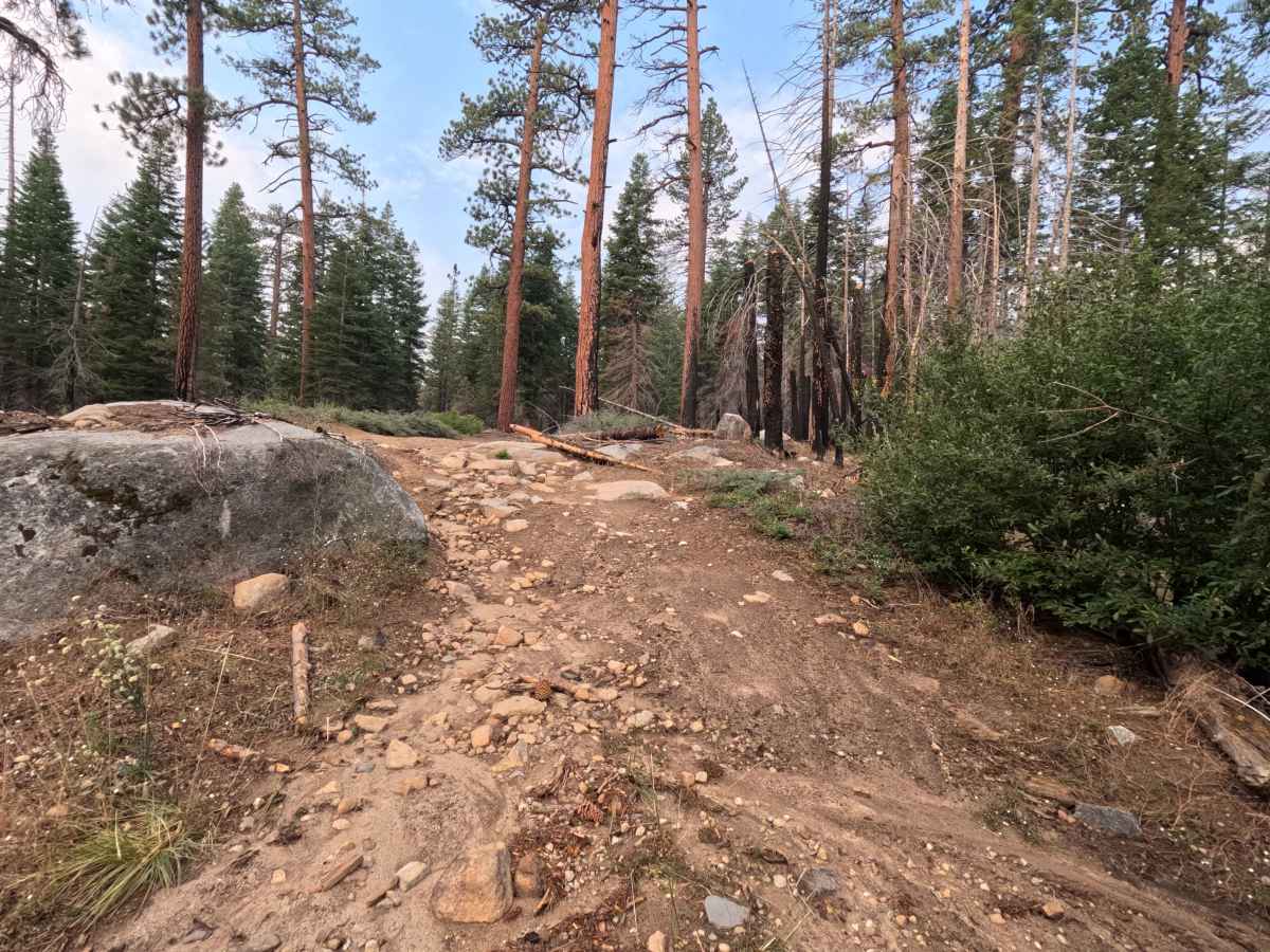 Onion Springs - FS 27E223 photo 6