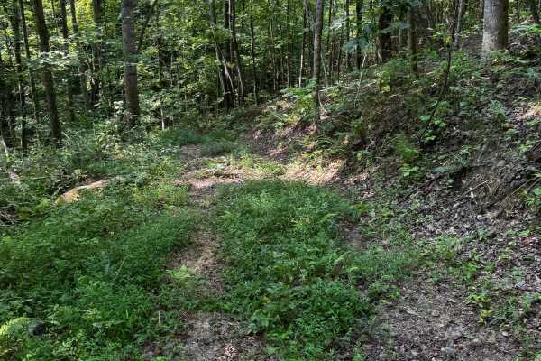 Trail 8B