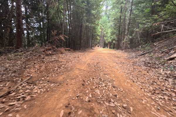 Pourier Creek Spur - FS 34-003