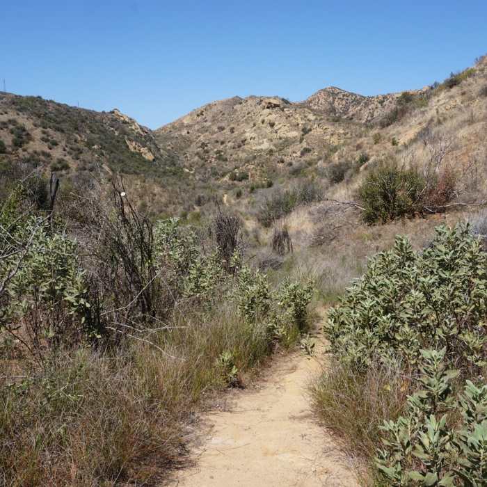 Near Tecate Out and Back