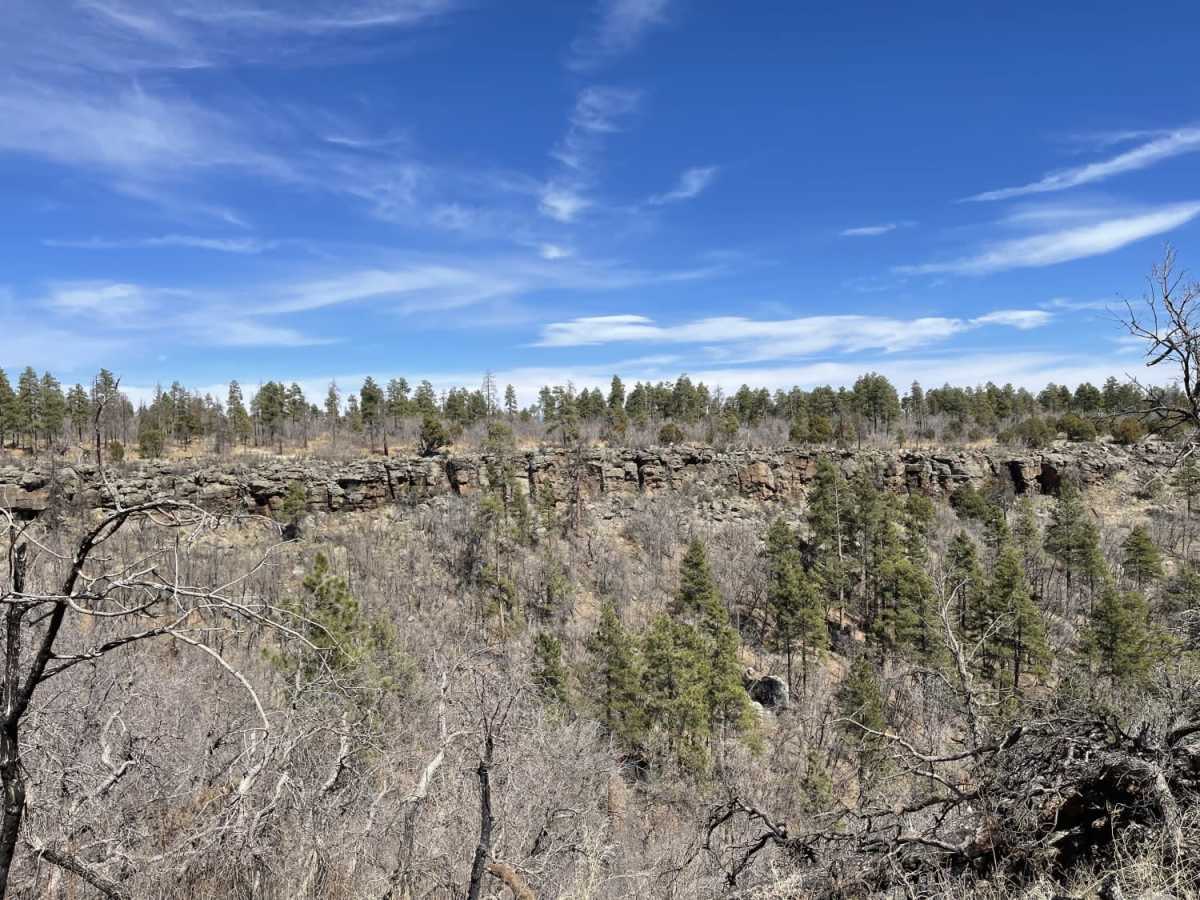 Gobbler Springs Road trail photo