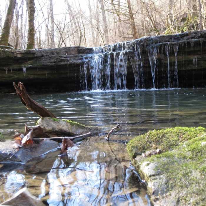 Near Red Trail