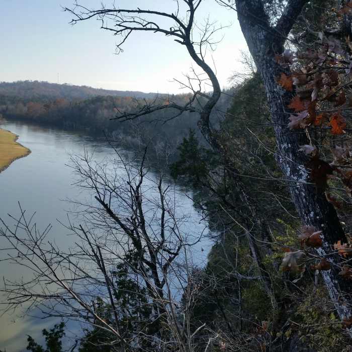Near Bluff Trail
