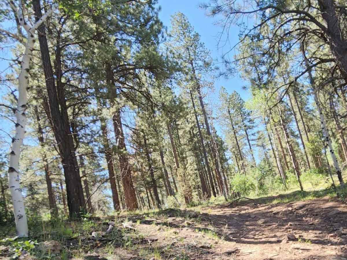 Beaver Point Road photo 6
