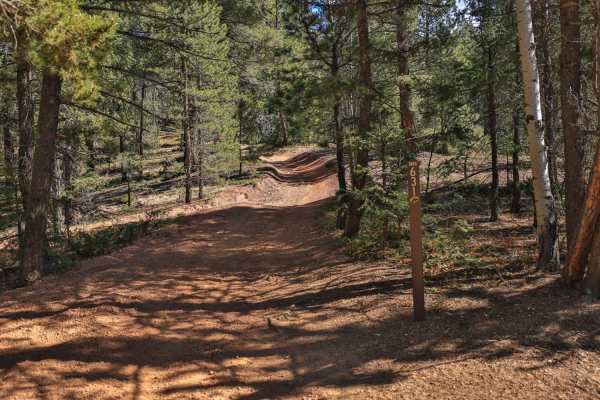 Fern 3- Rampart Range