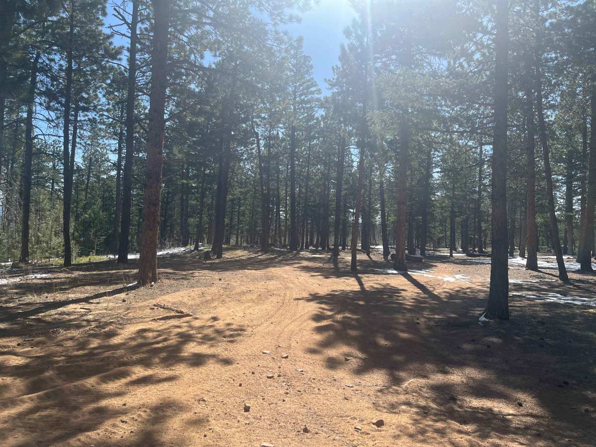 Dist Boundary Road photo 2