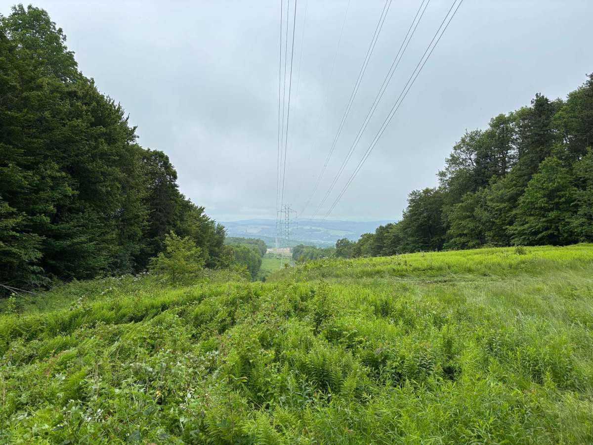 Vinnedge PFAR photo 5