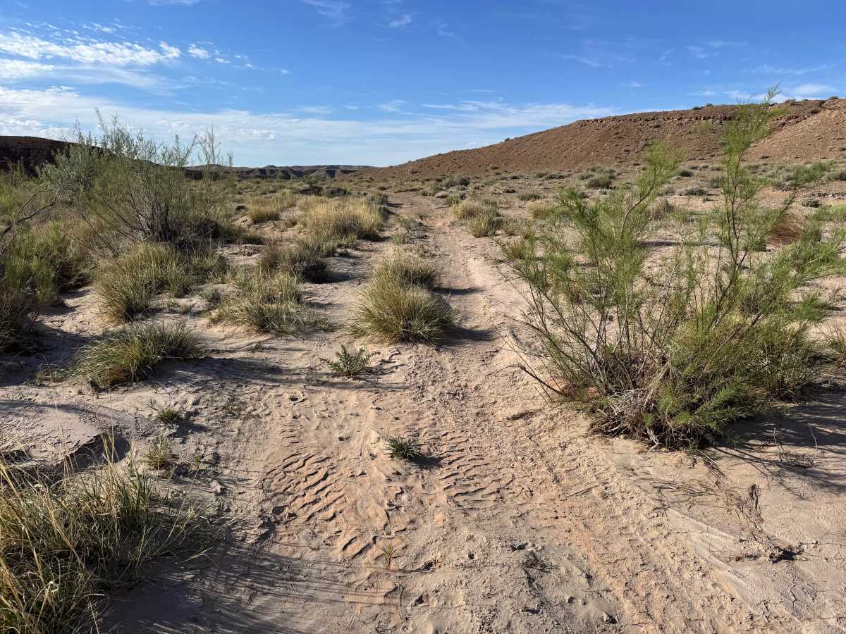 D2916 trail photo