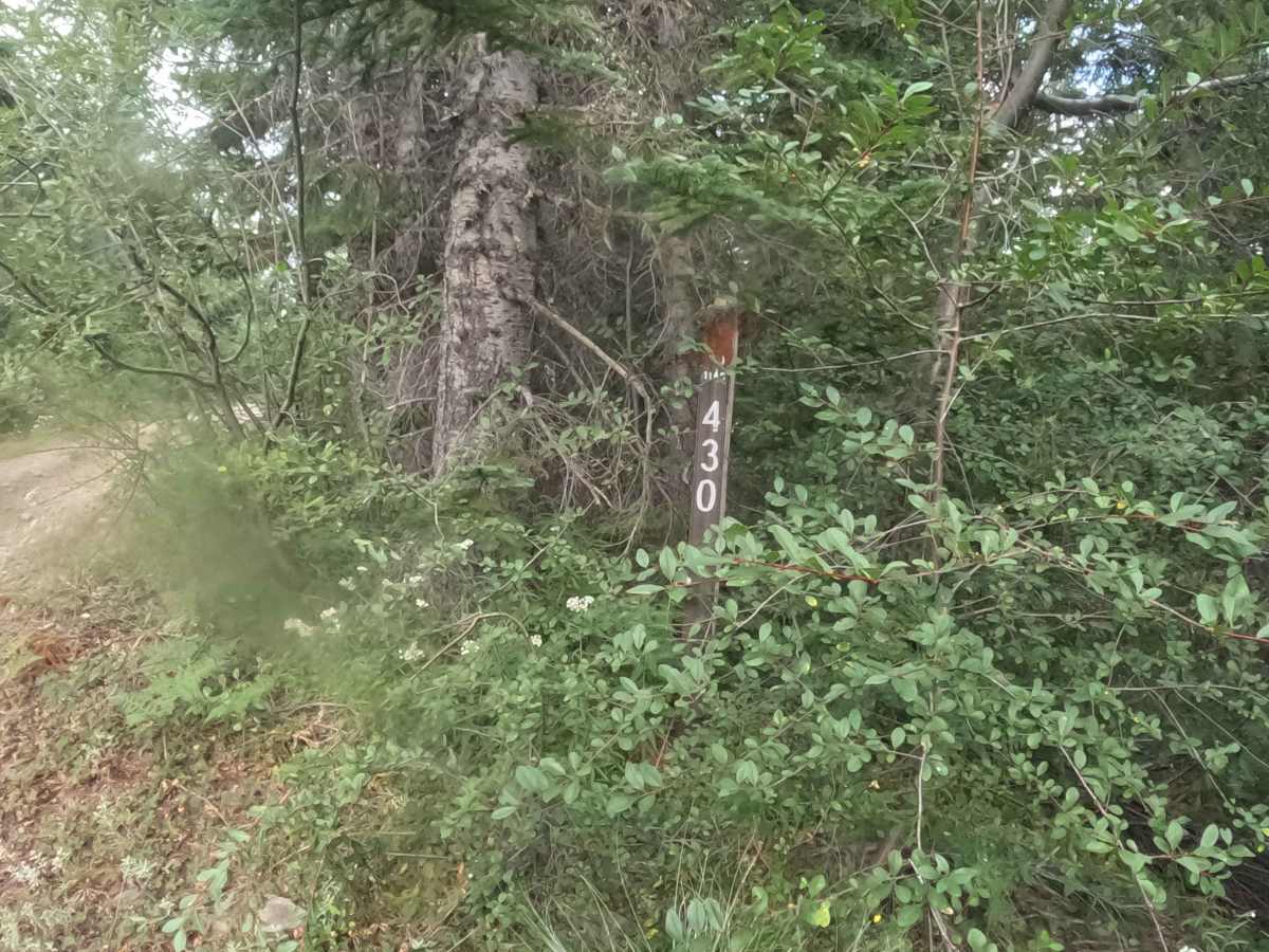 Coffin Mountain Road - FS 1168430 photo 3