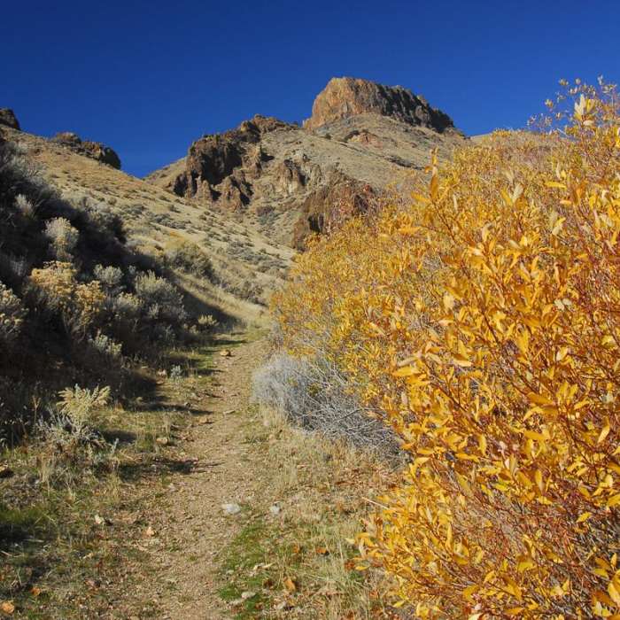 Near Pike Creek Mine Hike Near Pike Creek Mine Hike