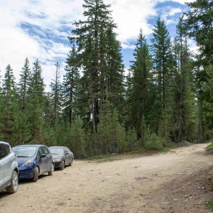 Near Lemolo Falls via the Lemolo Falls Trail