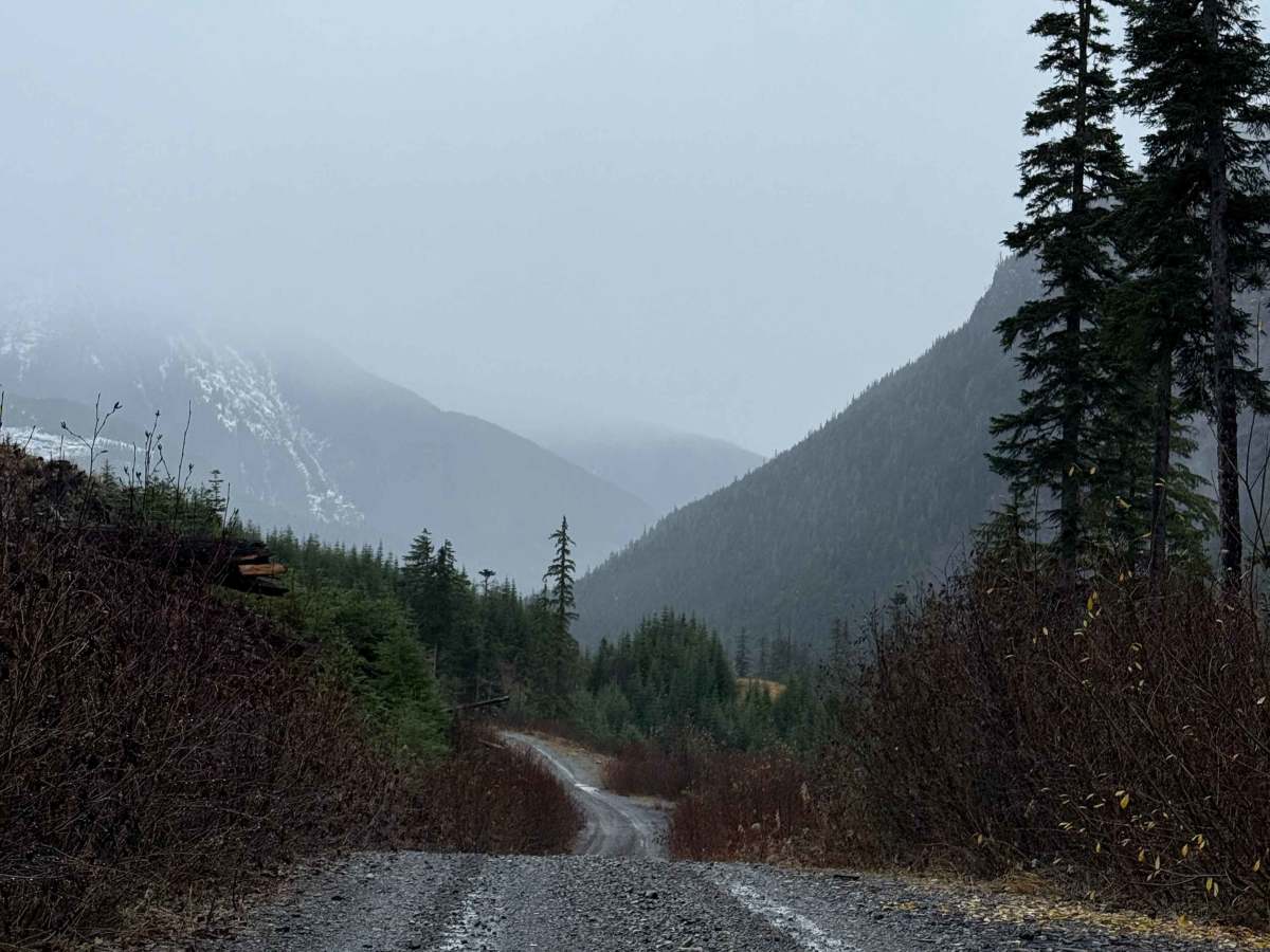 Clore Forest Service Road photo 2