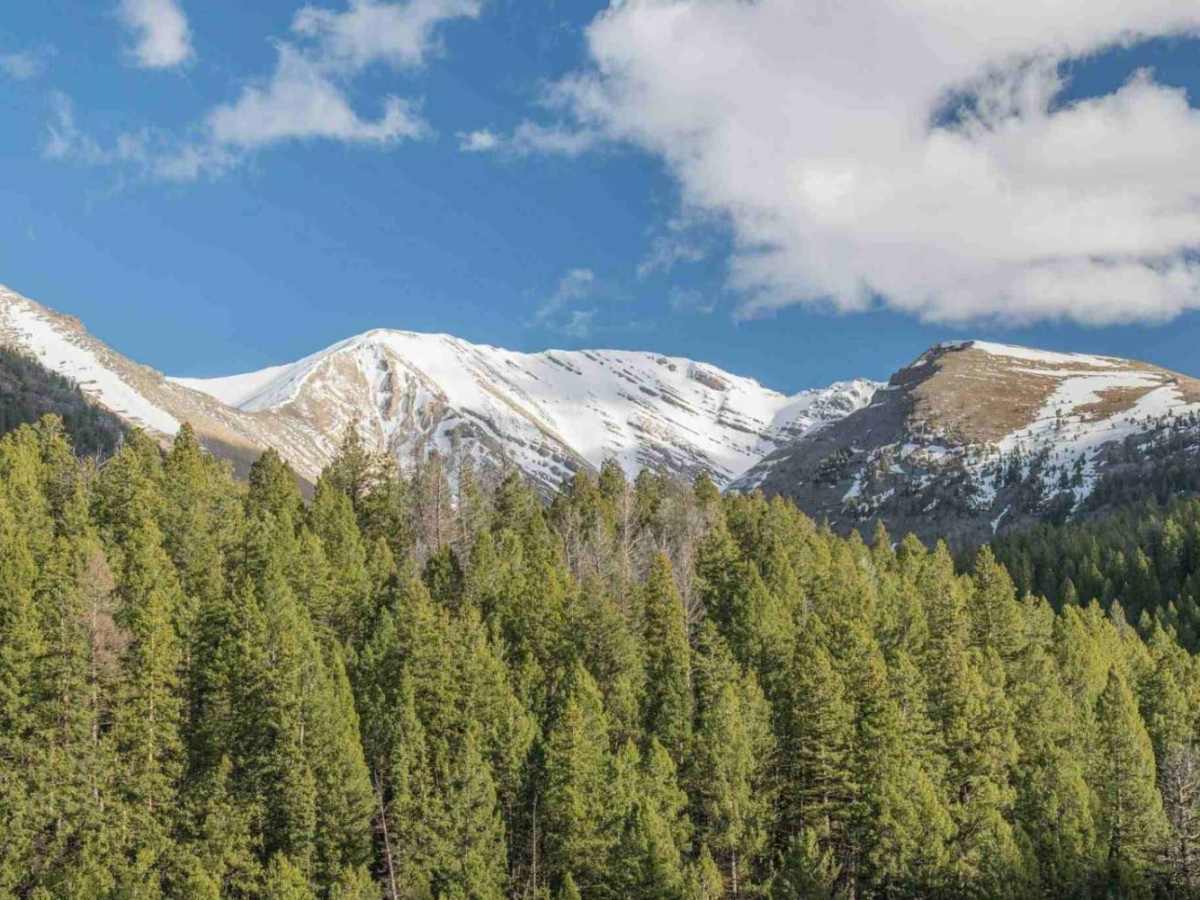 Doublespring Pass trail photo