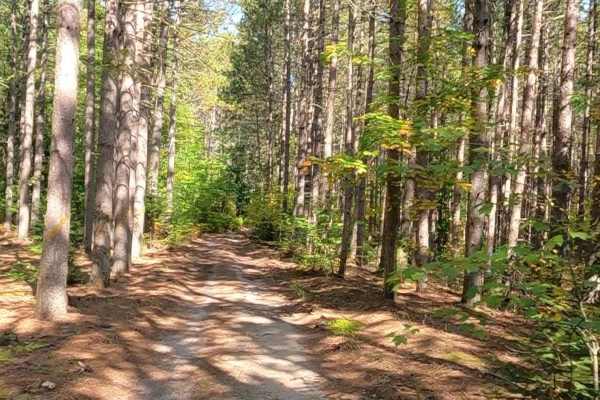 27 Mile Road - FS 3704