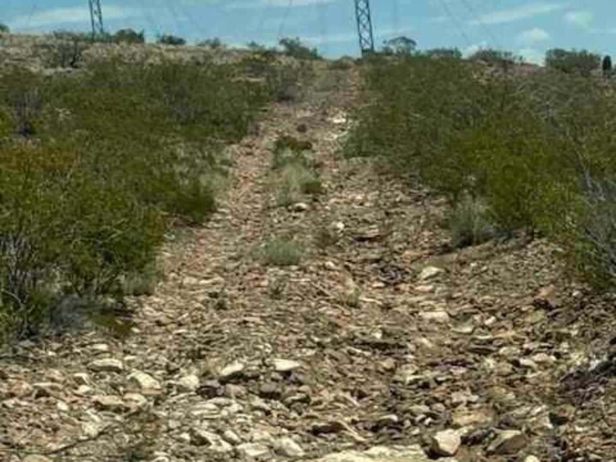 BLM SS1044 photo 3