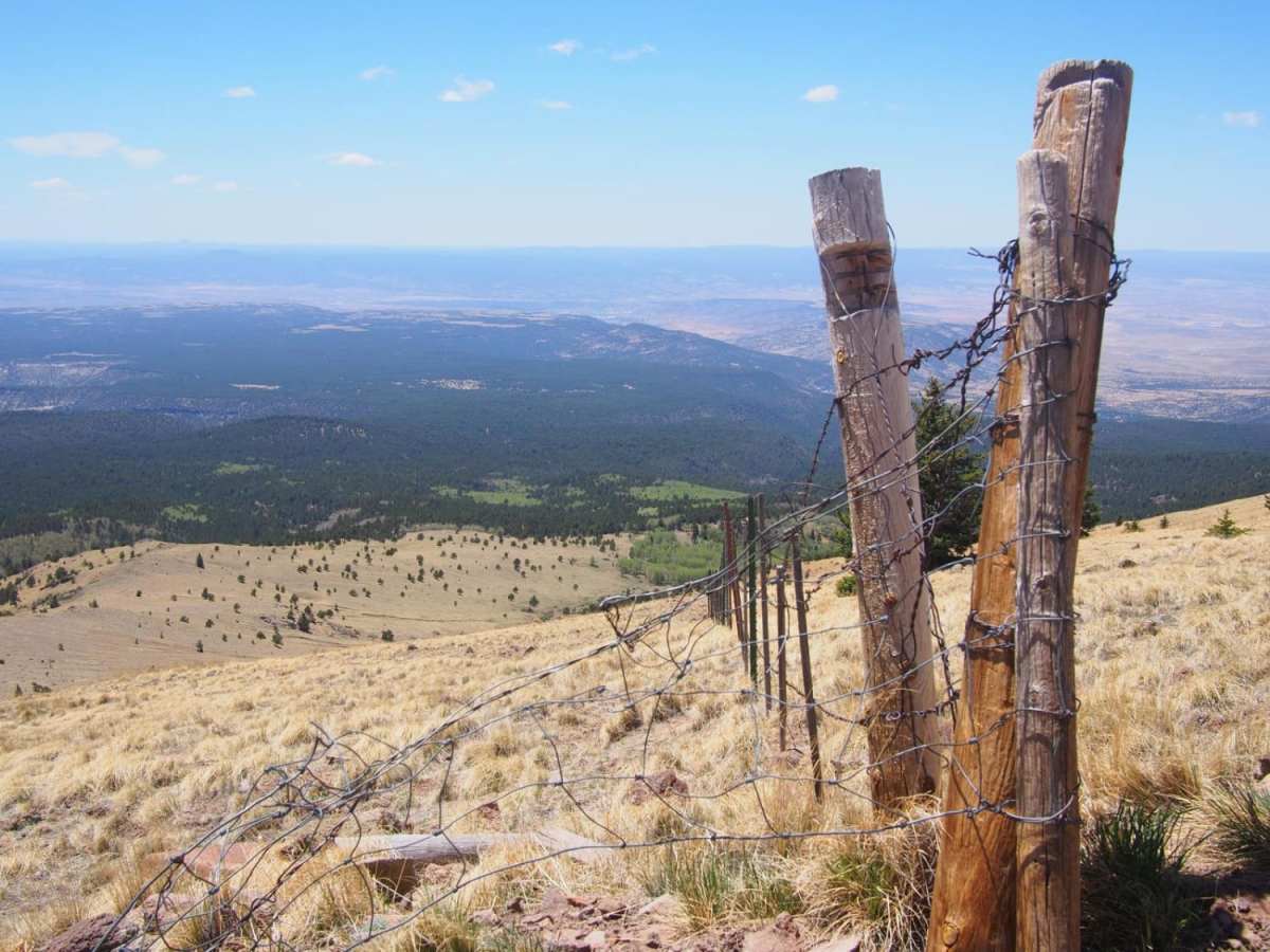 Mt. Taylor Peak 4x4 Road photo 4