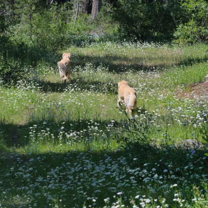 Near Point Mariah Hiking Trail