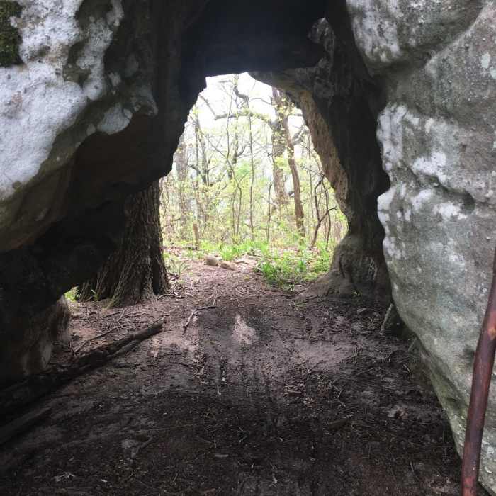 Near Grassy Cove Out and Back