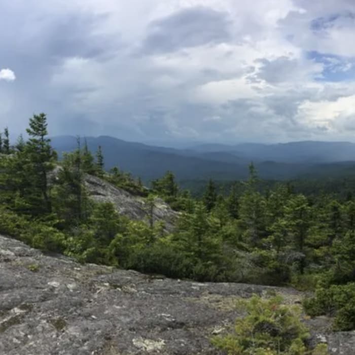 Near Caribou Mountain Loop