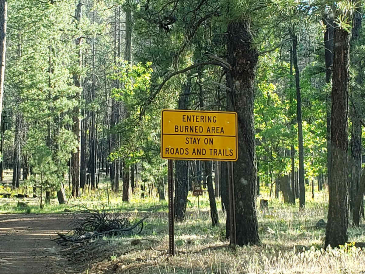 Turkey Butte photo 4