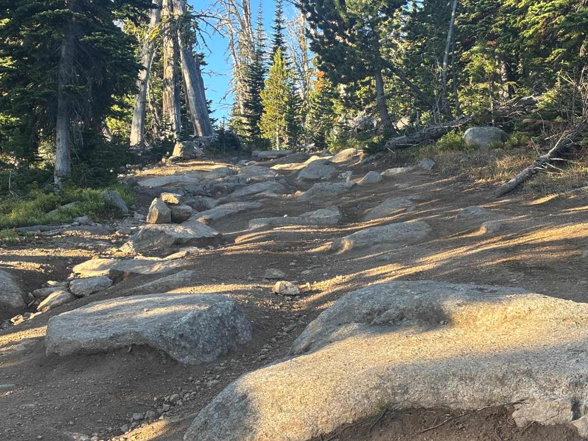 Blaine Mountain Road photo 6