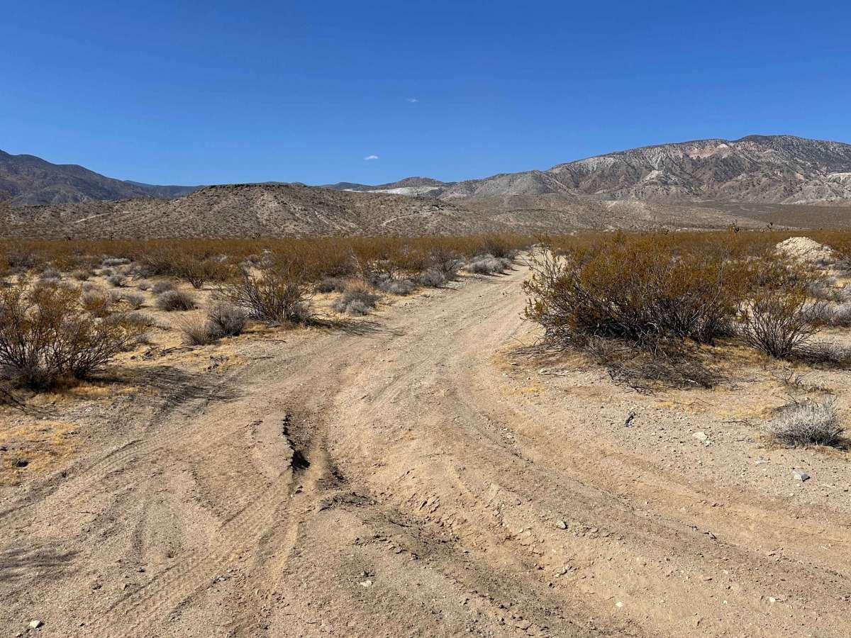 Tamarisk Mine Loop photo 3