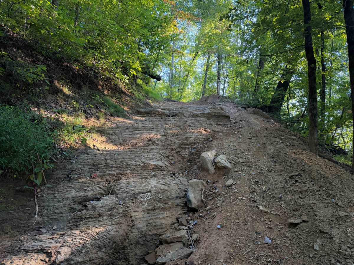 Ivydell Trail photo 3