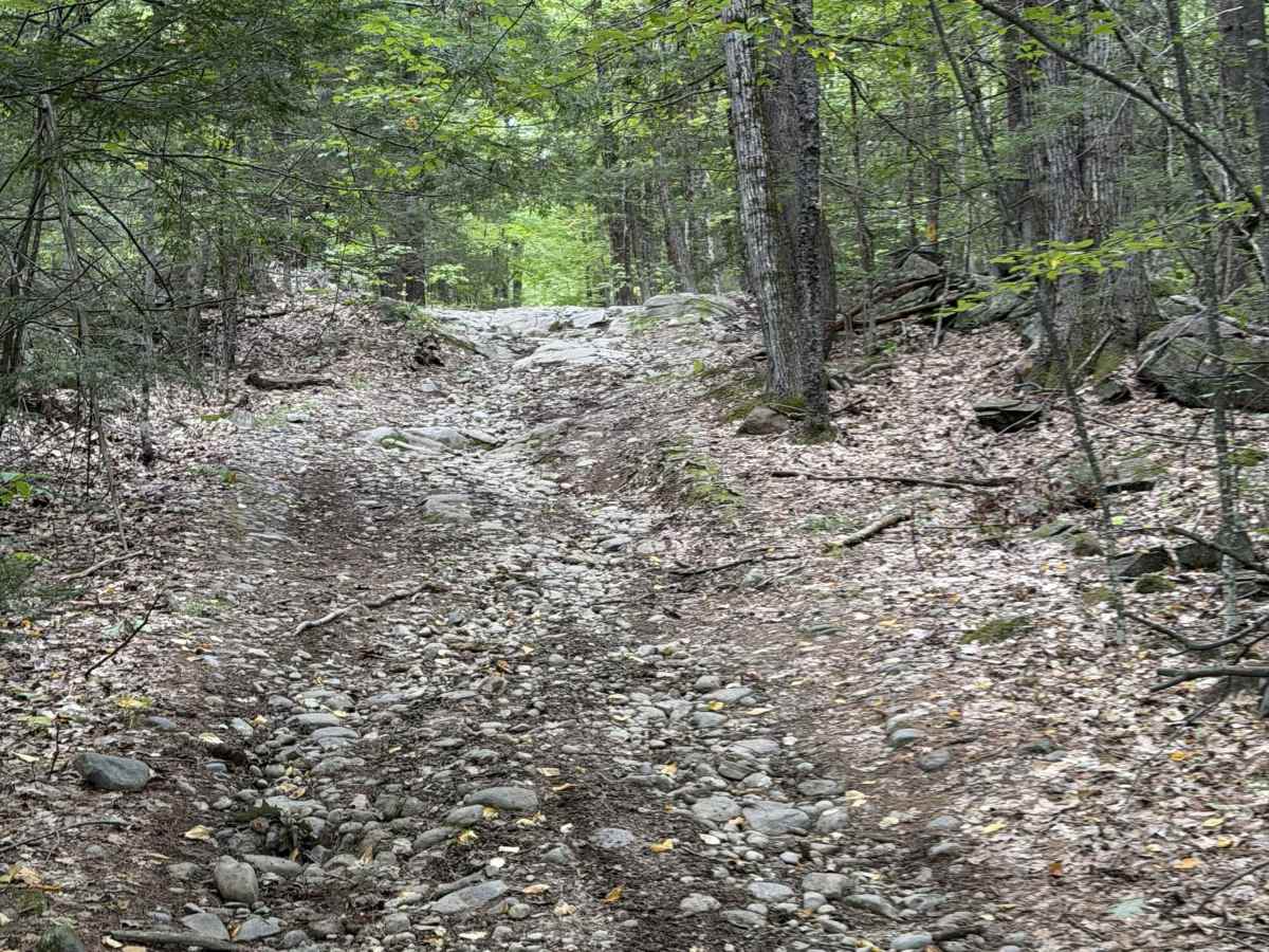 Edan Page Road photo 3
