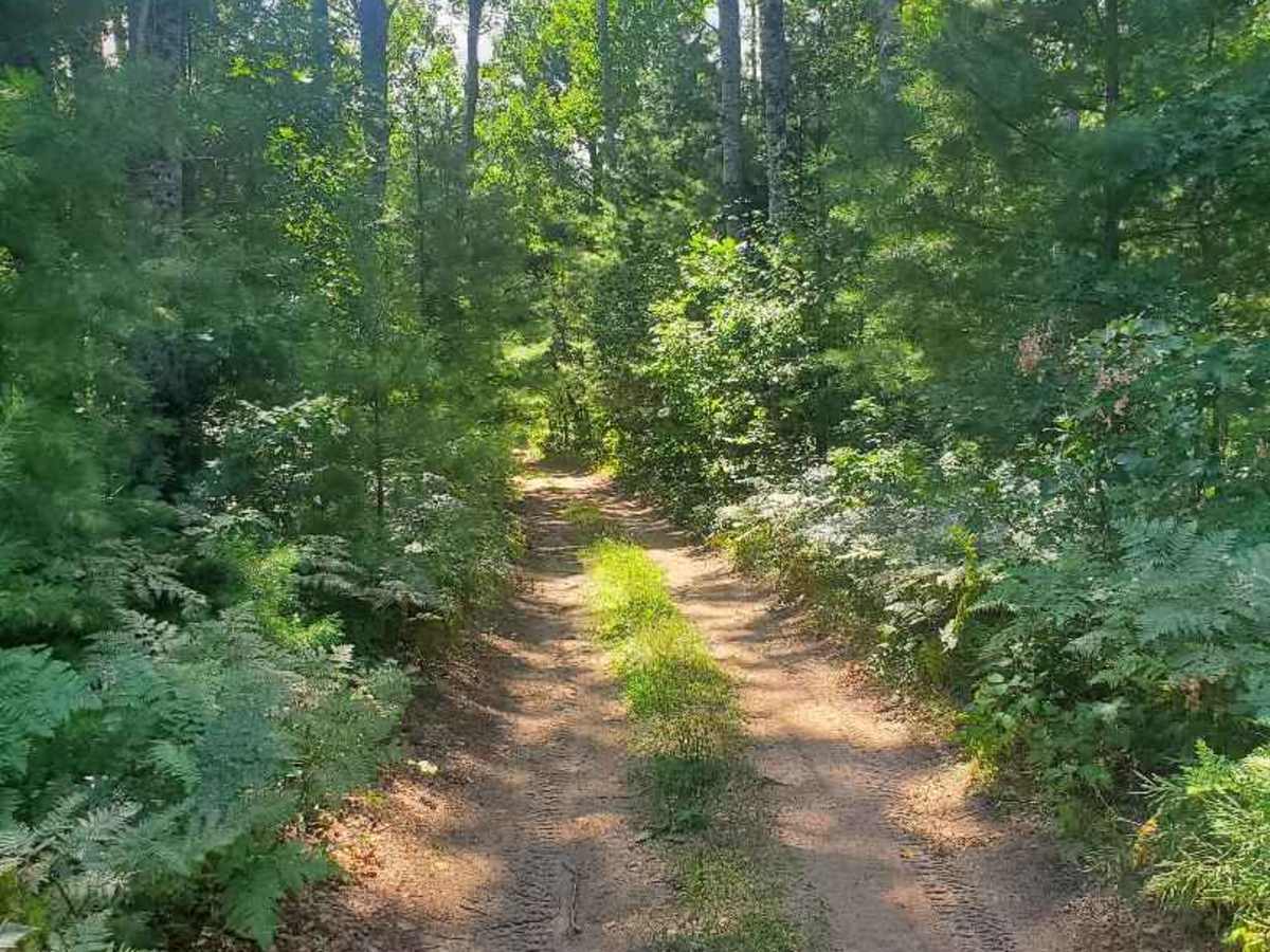 South Branch of Twin Creek Trail photo 6