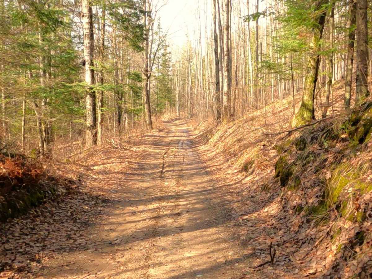 ORV H-57: Mack- Tabor Trail photo 4