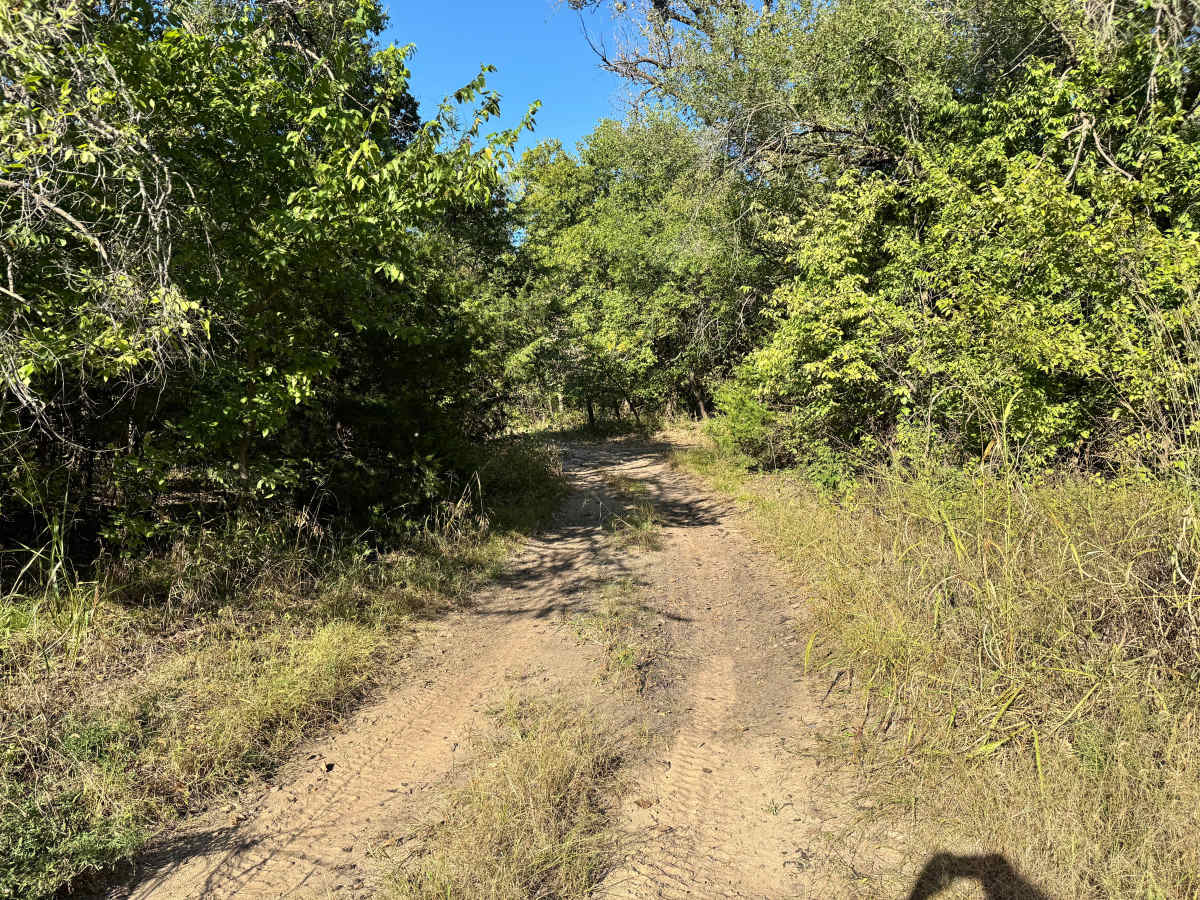 Fifth Gear Flats trail photo
