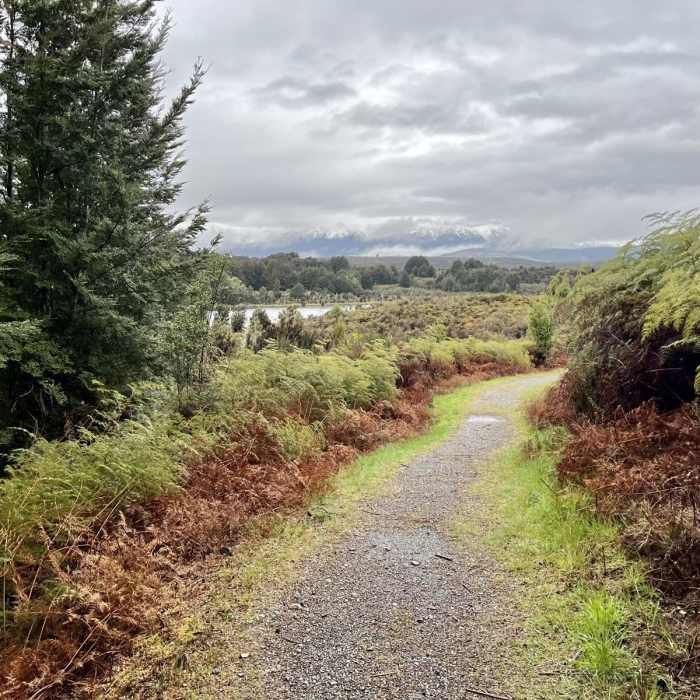 Near Lake Mistletoe Track Near Lake Mistletoe Track