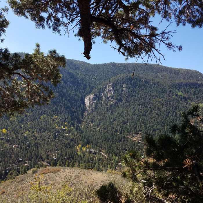 Near Mt. Dewey Trail - Summit Section